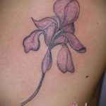 Egy remek példa az írisz tetoválására - a rajz alkalmas a kar írisz tetoválására