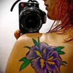 A meglévő írisz tetoválás hűvös változata - a rajz alkalmas a lapocka írisz tetoválására