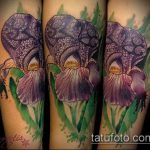 A kivitelezett írisz tetoválás hűvös változata - a rajz alkalmas írisz tetováláshoz a zónán