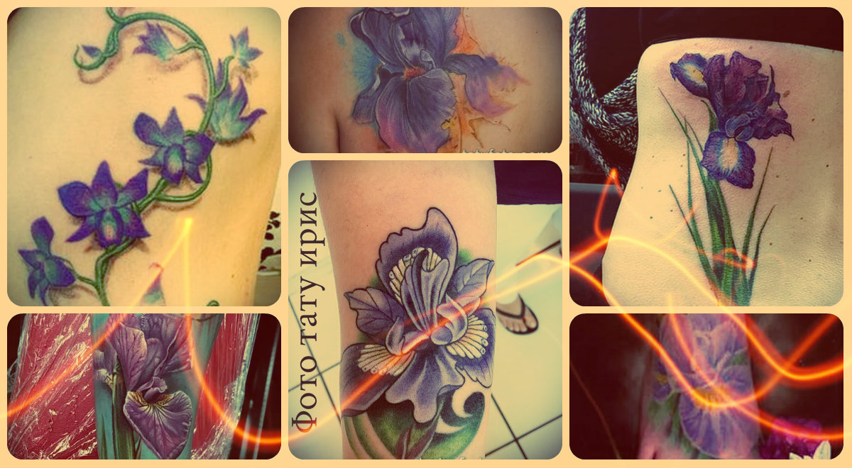 Fénykép írisz tetoválásról - méltó példák a tetoválás alapjául