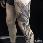 Fotó búza tetováló füléről 2018.08.07. №008 - tetováló búzafül -