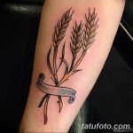 Fotó búza tetováló füléről 2018.08.07. №007 - tetováló búzafül -