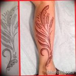 Fotó búza tetováló füléről 2018.08.07. №009 - tetováló búzafül -