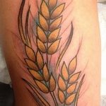 Fotó búza tetováló füléről 2018.08.07. №015 - tetováló búzafül -