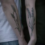 Fotó búza tetováló füléről 2018.08.07. №016 - tetováló búzafül -