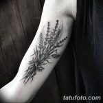 Fotó búza tetováló füléről 2018.08.07. №020 - tetováló búzafül -