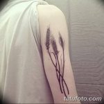 Fotó búza tetováló füléről 2018.08.07. №031 - tetováló búzafül -