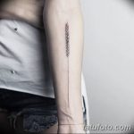 Fotó búza tetováló füléről 2018.08.07. №038 - tetováló búzafül -