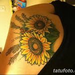 Fotó búza tetováló füléről 2018.08.07. №040 - tetováló búzafül -