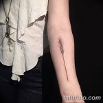 Fotó búza tetováló füléről 2018.08.07. №059 - tetováló búzafül -