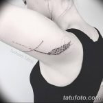 Fénykép a búza tetováló füléről 2018.08.07. №069 - tetováló búzafül -