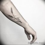 Fotó búza tetováló füléről 2018.08.07. №075 - tetováló búzafül -