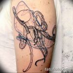 Очертание на фото татуировка от 01.09.2018 №073 - Очертание на фото татуировка -