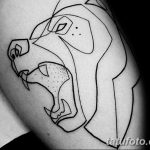 Очертание на фото татуировка от 01.09.2018 №174 - Очертание на фото татуировка -