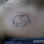 Очертание на фото татуировка от 01.09.2018 №048 - Очертание на фото татуировка -