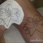 Очертание на фото татуировка от 01.09.2018 №062 - Очертание на фото татуировка -