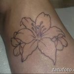 Очертание на фото татуировка от 01.09.2018 №063 - Очертание на фото татуировка -