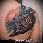 Bagoly tetoválás hely - fotó a kész tetoválásról 2218 tatufoto.ru