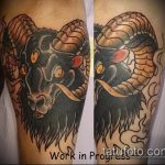 zdjęcie tatuażu kozy nr 157 - godna wersja wzoru, którą z powodzeniem można wykorzystać do powtórki i zastosowania jako tatuażu koza zjada trawę