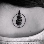 Egy remek példa a kör tetoválásra - a rajz kelta kör tetoválásra alkalmas