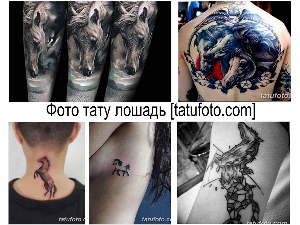 Fotó a ló tetoválásról - rajzok gyűjteménye és a funkciókkal kapcsolatos információk