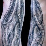 A szerves tetoválás # 244 a minta klassz változata, amely sikeresen használható a szerves ujjú tetoválás véglegesítéséhez és alkalmazásához