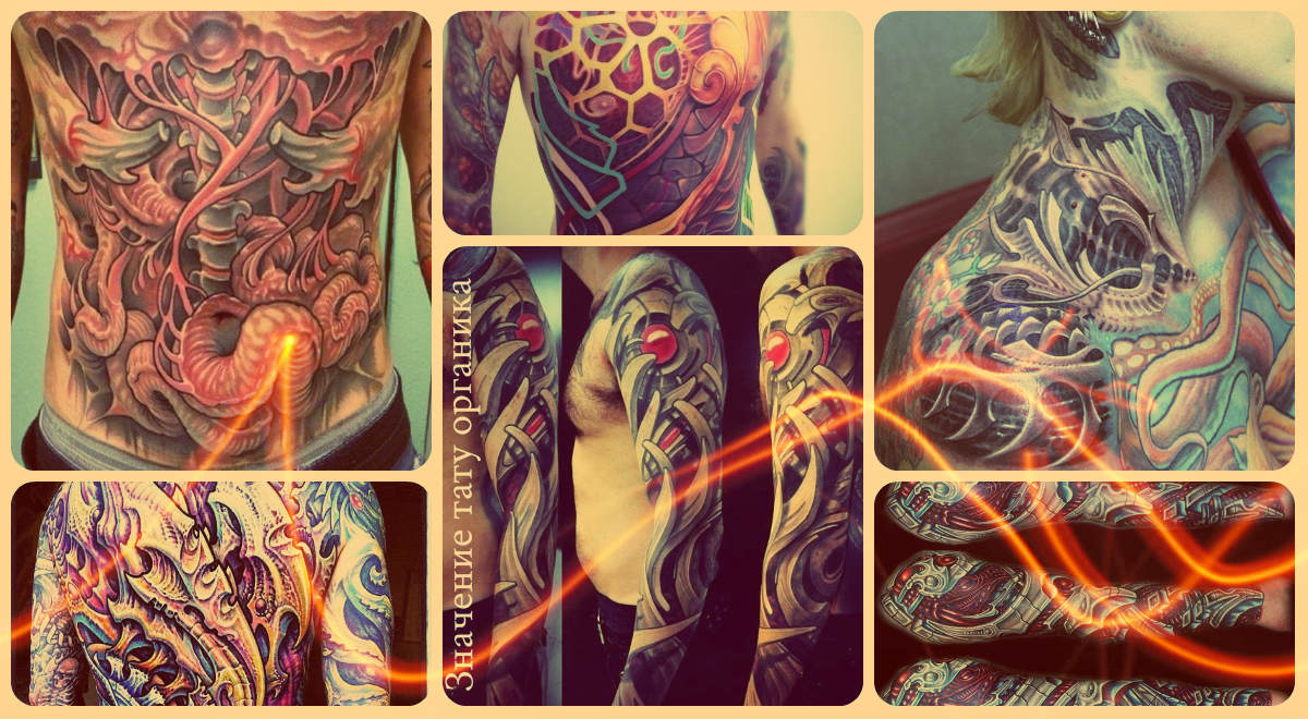 Fénykép organikus tetoválásról - lehetőségek a sikeres tervekhez - példák