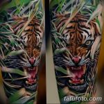 fotó tetoválás tigris vigyora 2018. 06. 01. №063 - tigris tetoválás -
