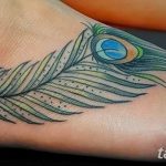 fotó egy pávatoll tetoválásról, kelte: 2018.06.26. №319 - tetoválás pávatoll -