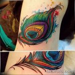 fotó egy pávatoll tetoválásról, kelte: 2018.06.26. №298 - tetoválás pávatoll -