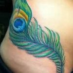 fotó páva toll tetoválásról, kelte: 2018.06.26. №297 - tetoválás pávatoll -