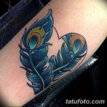 fotó egy pávatoll tetoválásról, kelte: 2018.06.26. №294 - tetoválás pávatoll -