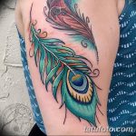 fotó egy pávatoll tetoválásról, kelte: 2018.06.26. №288 - tetoválás pávatoll -