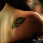 fotó páva toll tetoválásról, kelte: 2018.06.26. №284 - tetoválás pávatoll -