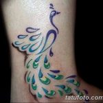 fotó egy pávatoll tetoválásról, kelte: 2018.06.26. №003 - tetoválás pávatoll -