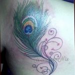 fotó egy pávatoll tetoválásról, kelte: 2018.06.26. №021 - tetoválás pávatoll -