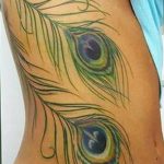 fotó egy pávatoll tetoválásról, kelte: 2018.06.26. №029 - tetoválás pávatoll -