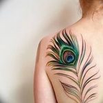 fotó egy pávatoll tetoválásról, kelte: 2018.06.26. №035 - tetoválás pávatoll -