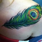 fotó egy pávatoll tetoválásról, kelte: 2018.06.26. №273 - tetoválás pávatoll -