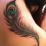 fotó egy pávatoll tetoválásról, kelte: 2018.06.26. №272 - tetoválás pávatoll -