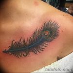 fotó egy pávatoll tetoválásról, kelte: 2018.06.26. №269 - tetoválás pávatoll -