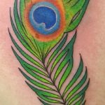 fotó egy pávatoll tetoválásról, kelte: 2018.06.26. №268 - tetoválás pávatoll -