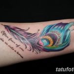 fotó egy pávatoll tetoválásról, kelte: 2018.06.26. №256 - tetoválás pávatoll -