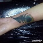 fotó egy pávatoll tetoválásról, kelte: 2018.06.26. №252 - tetoválás pávatoll -