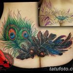 Alsó hátsó tetoválás eltakarási minták Hátborítós tetoválások Páva