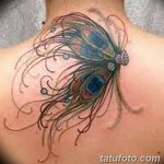 fotó páva toll tetoválásról, kelte: 2018.06.26. №216 - tetoválás pávatoll -