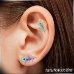 fotó páva toll tetoválásról, kelte: 2018.06.26. №206 - tetoválás pávatoll -