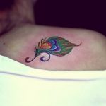 fotó egy pávatoll tetoválásról, kelte: 2018.06.26. №044 - tetoválás pávatoll -