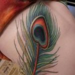 fotó egy pávatoll tetoválásról, kelte: 2018.06.26. №165 - tetoválás pávatoll -