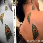 fotó egy pávatoll tetoválásról, kelte: 2018.06.26. №059 - tetoválás pávatoll -